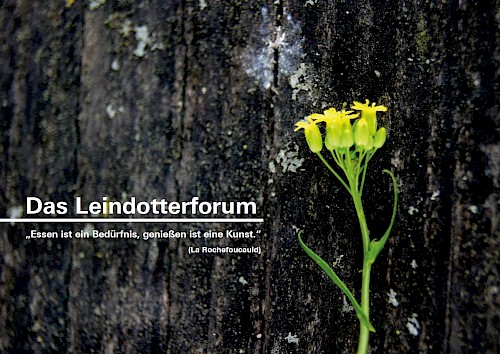 Die Bliesgau Ölmühle veröffentlicht den ersten Reader über Leindotter