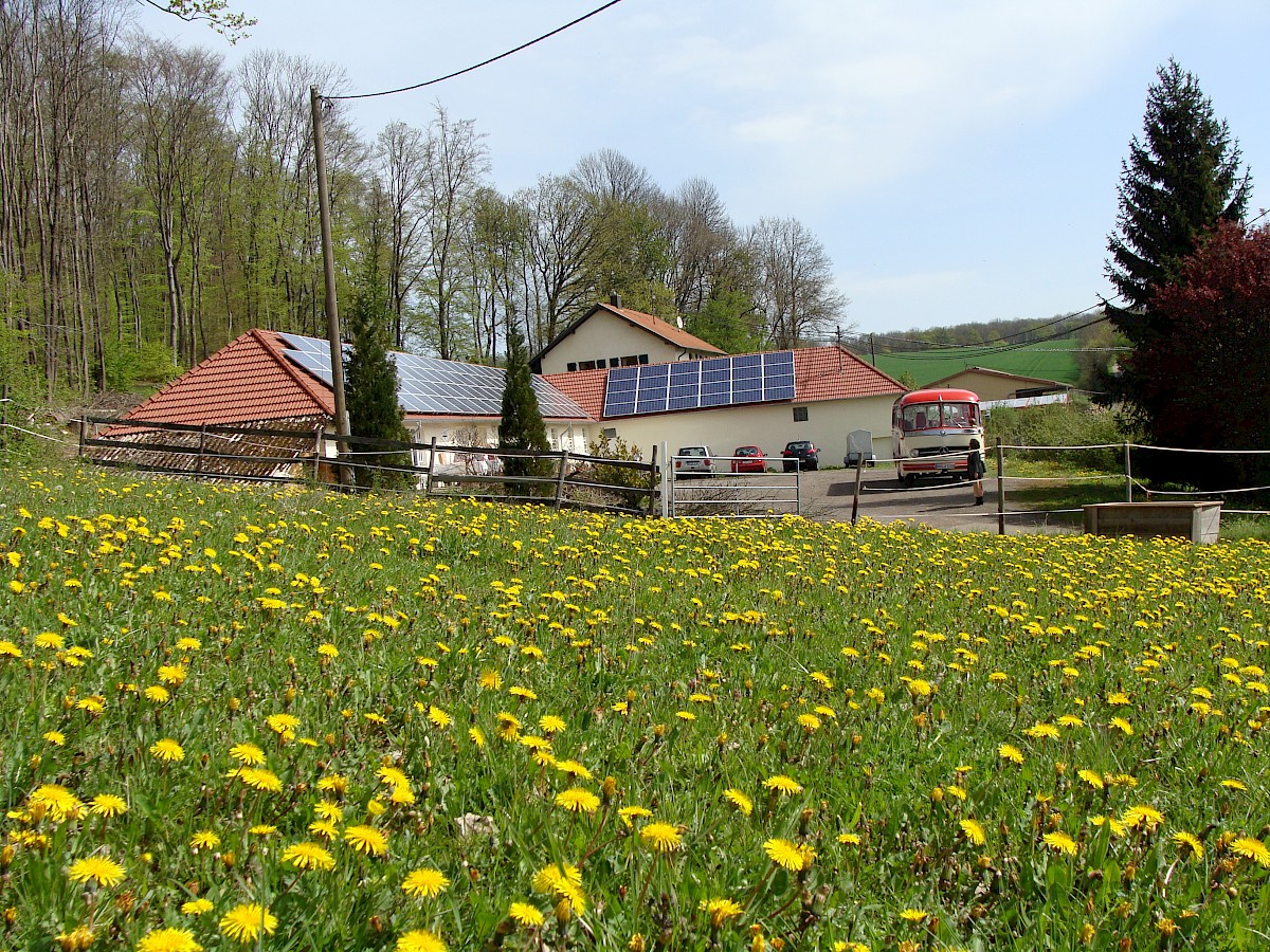 Bliesgau Ölmühle Kontakt | Pflanzenöl kaufen