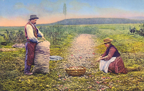 Kartoffelbauer und seine Frau in Südfrankreich um 1900