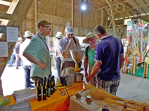 Besucher informierten sich auf den Öko-Feldtagen über die noch relativ unbekannte Leindotter-Pflanze (Foto: Barbara Heydenreich)