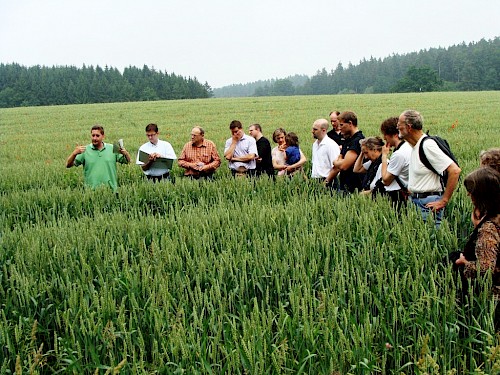 Bliesgauölmühle besucht Leindotterfelder in Bayern