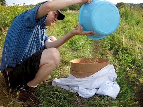 Patric Bies, Bliesgau-Ölmühle legt selbst Hand an bei der Saatenreinigung