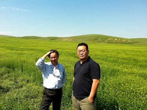 Bars Purevsuren rechts am Leindotterfeld