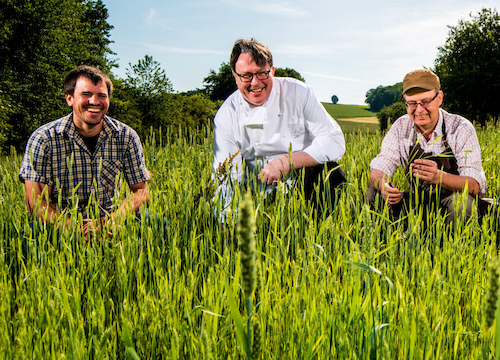 Linsenlandwirt Johannes Dörr, Markus Keller (Landhaus Wern’s Mühle) und Patric Bies (Bliesgau Ölmühle) im Mischfruchtfeld
