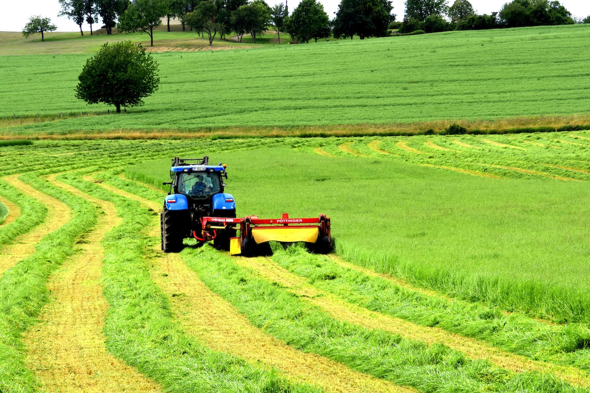 Bliesgau Ölmühle Gentechnik in der Landwirtschaft: Fluch oder Segen